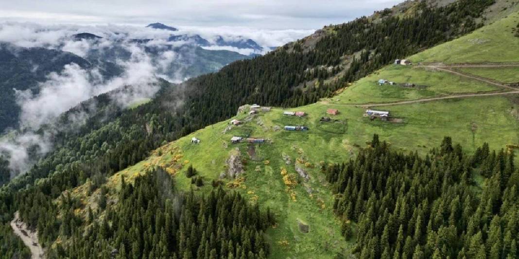 Türkiye turizminin yeni yıldızı! Sodalı suyu ayrı, yaylaları ayrı cezbediyor: Artık herkes bu noktaya akın ediyor 3